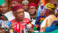 Drama as top senator storms Senate with Tinubu's campaign cloth, photos trend