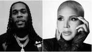 Burna Boy: Twitter user Daniel Regha claims singer sampled Toni Braxton’s work in new song, Nigerians react