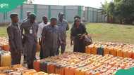 Nigeria Customs intercepts, seizes N238 million worth of smuggled fuel