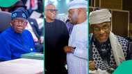Tinubu, Atiku, Peter Obi or Amaechi? Prominent pastor releases prophecy on 'winner' of 2027 election
