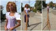 Lady shows off her Rapunzel-inspired braids, internet users react: "Mobile LAWMA"