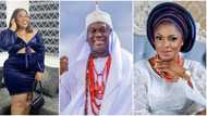 Medical doctor applies to be Ooni of Ife's 8th wife as monarch marries 7th queen in 2 months