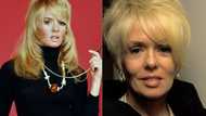 Joey Heatherton bio: Age, movies, net worth, movies