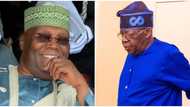 Atiku vs Tinubu: PDP presidential candidate tenders 118 exhibits as tribunal takes action