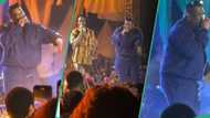 "Kingmaker": Don Jazzy returns to stage after many years, performs with Johnny Drille, clip trends