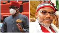 2023 elections: PDP senator reveals private talk with Nnamdi Kanu, what will happen in southeast