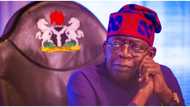 Top political economist reveals earliest period to start reaping benefits of Tinubu's policies