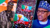 Fayose says Tinubu was 'magnanimous' in Osun 2026 election, opens up on what Buhari did to him in 2018