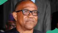 "We must learn from South Africa": Peter Obi condemns Nigeria's 2023 elections