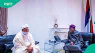Breaking: Tinubu meets Sultan of Sokoto, video trends