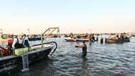 Italy's clam farmers fear blue crab 'invasion'