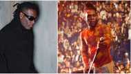 Odogwu talk and do: Moment Burna Boy pushed 'over sabi' fan who tried to join him on stage, sends him crashing