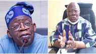 Tinubu’s staunch critic Bode George makes u-turn, speaks on reconciliation with president-elect