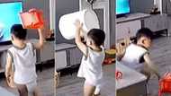Video shows toddler in diaper smashing TV to safe his superhero friend who was being beaten, many react