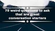 79 weird questions to ask that are great conversation starters