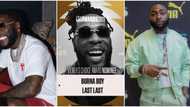 "Odogwu na lion": Fans react as Burna Boy gets 4 nominations at 2023 BET Awards, Davido has none