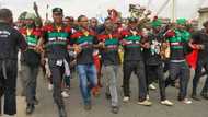 Hana cin nama daga Arewa: Kungiyar masu safarar abinci da shanu sun mayar wa IPOB zazzafan martani