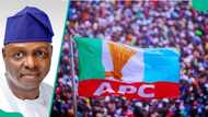 Tinubu, governors reportedly agree on who should replace Ganduje as APC chairman