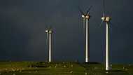 UK carbon emissions cut by half since 1990: experts