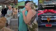 "Angels really do exist": Woman who rescued 600 dogs from harm gets luxury car gift, video melts hearts