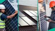Climate volatility: Is solar energy still a good choice for you? Expert speaks