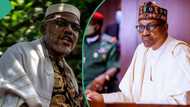 Why Buhari did not eliminate Nnamdi Kanu from his hideout, Femi Adesina reveals