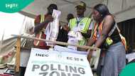 Edo 2024 election: INEC, security agencies cautioned as group warns APC