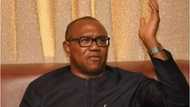 Peter Obi: Ya Zama Dole a Bar Kudu Maso Gabas Ta Mulki Najeriya a 2023