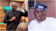 Peter Obi makes 3 allegations against APC, speaks on leaked audio with Oyedepo