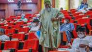 Just in: AMCON seizes Senator Buhari’s properties, gives reason