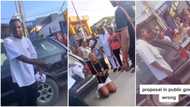 "She disgraced herself": Nigerian lady sheds tears as boyfriend rejects her public proposal in viral video