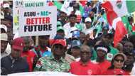 Kungiyar Kwadago ta Kasa ta Goyi Bayan ASUU, ta Bullo wa FG da Sabuwar Barazana