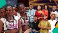 Biggie asks BBNaija housemates to freeze, pours whipped cream on them, their reactions cause stir