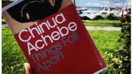 Chinua Achebe's Things Fall Apart quotes that will blow your mind