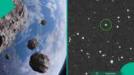 Asteroid: New footage shows location of huge rock from the sun capable of destroying cities