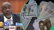 From N35m to N350m: BDCs urge CBN to approve mergers, increase in capital requirement