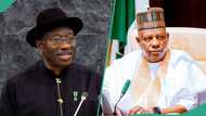 “How Jonathan attempted to remove me as Borno governor,” Shettima speaks, video trends
