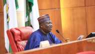 Senate president says power privatisation fraudulent