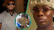 Don Jazzy attends Reekado Banks' album listening party, fans react: "Is he genuinely happy?"