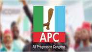 2023 Election: Excitement as Appeal Court restores APC senatorial candidate in top Arewa state