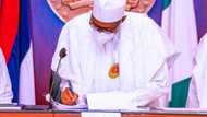 This is my verdict! Deliver on targets or get sanctioned, Buhari warns revenue generating agencies
