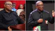 Good outing for Peter Obi as court admits more exhibits as evidence against President Tinubu