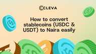 How to convert stablecoins (USDC & USDT) to Naira easily
