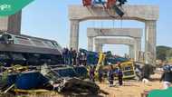 22 confirmed dead as heavy construction crane collapses on train carrying 195 passengers