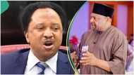 Abdul Ningi: Shehu Sani lists punishments for suspended senator, shares his own experience