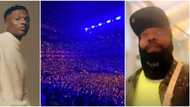 Wizkid is a brand: Nigerian man boasts after making almost N55 million from reselling concert tickets