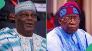 2027 elections: “Presidency in panic mood over ADC,” Atiku-led coalition alleges