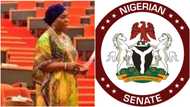 Child marriage: Senators' wives cry out, reject bill limiting marriage age to 18, give reason