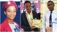 Medical doctor, lawyer: List Of UTME top scorers in last 10 years and what they are currently doing