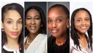 Top Nigerian firms with highest female board membership, UBA, and Guinness take the Lead